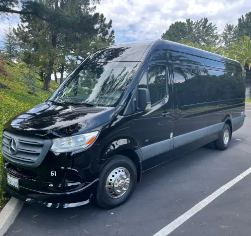 14 person party bus