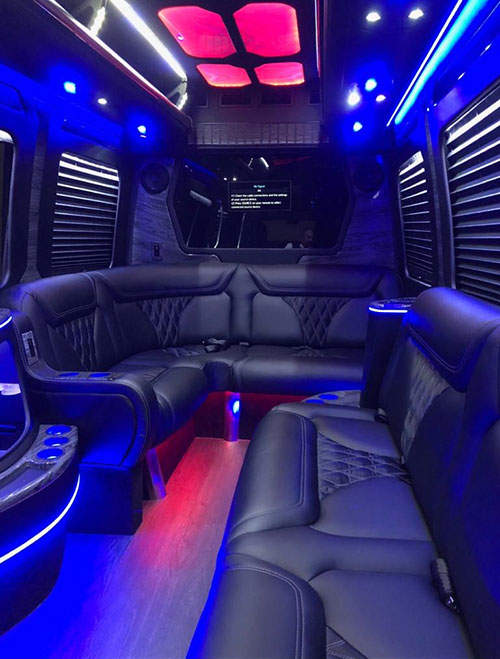 12 Passenger party bus