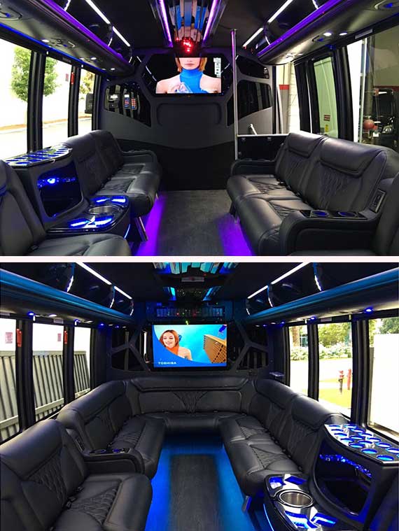 18 passenger party bus