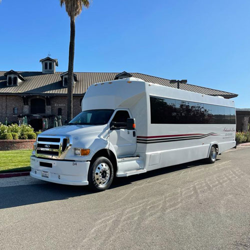 30 person party bus