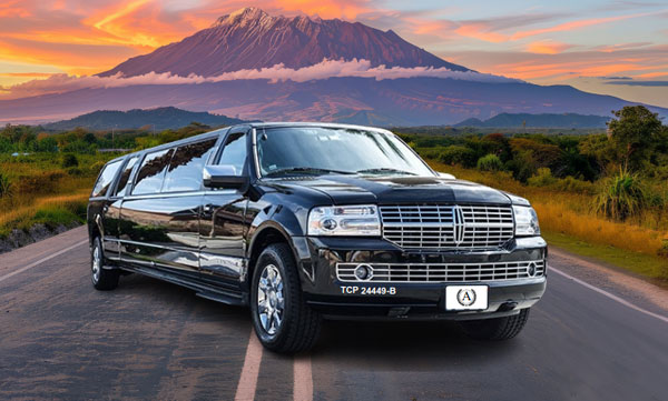 14 Passenger Party Bus