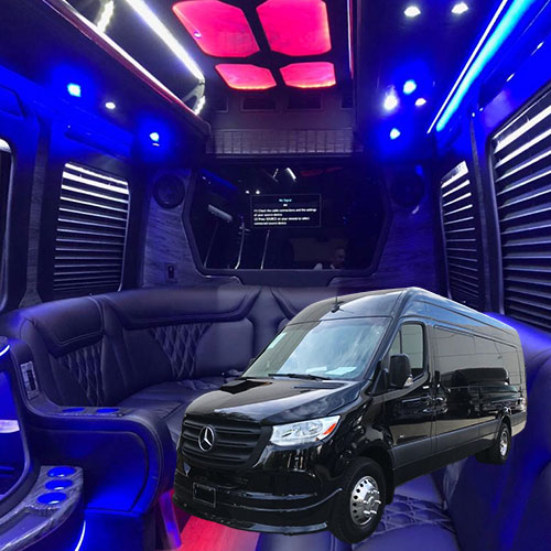 14 passenger party bus