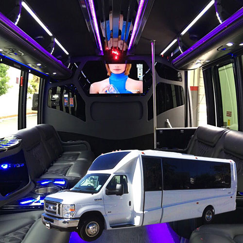 18 passenger party bus