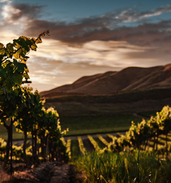 Russian River Valley