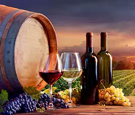 Sonoma Valley Wine Tour